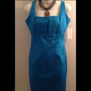 Calvin Klein NWT Sheath Dress